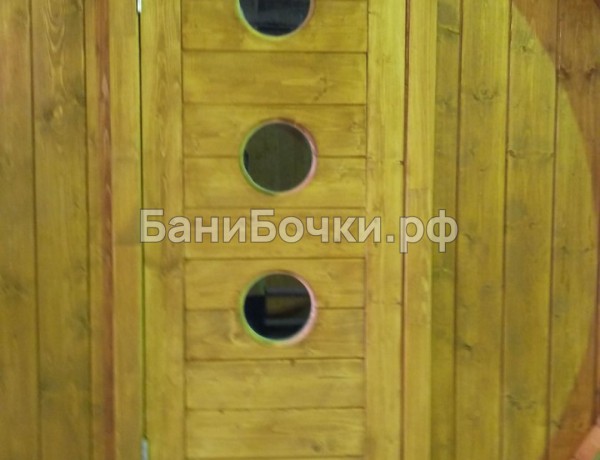 Дверь для бани №9 «Бочкарев» фото 1